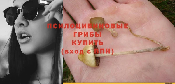 стафф Алексеевка