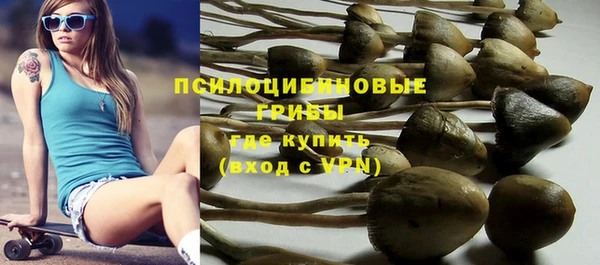 стафф Алексеевка
