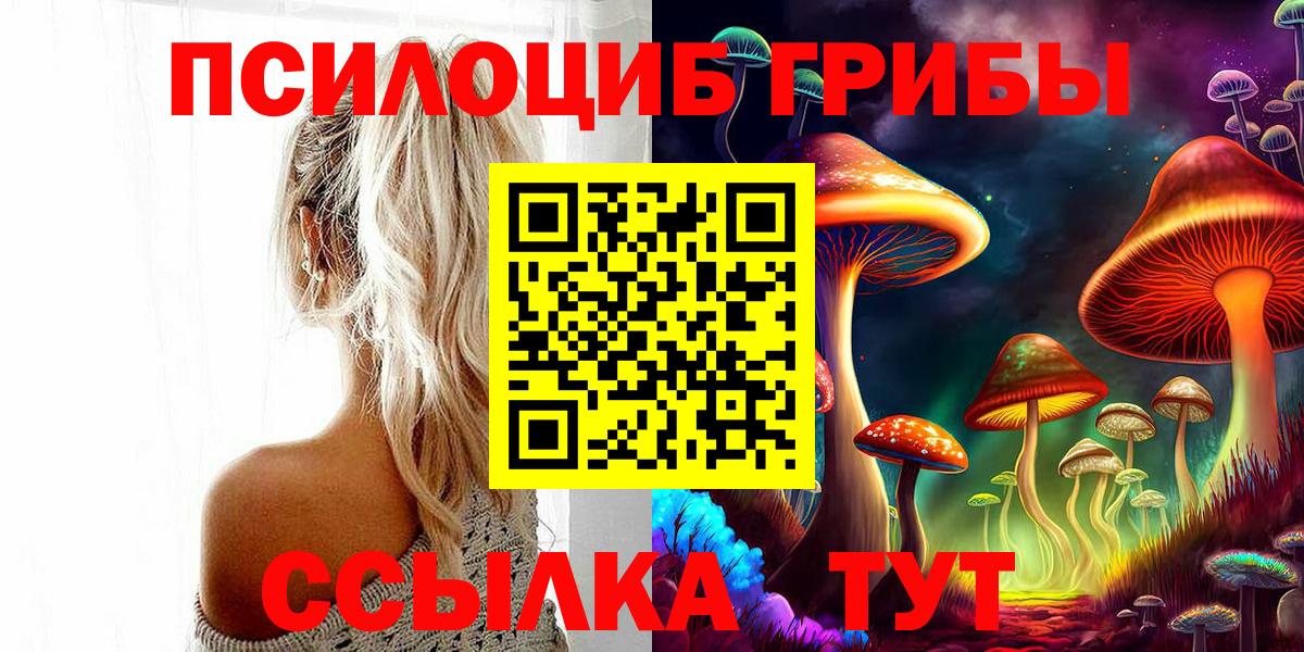 Старый Оскол  Псилоцибиновые грибы Psilocybine cubensis  Вход с VPN 