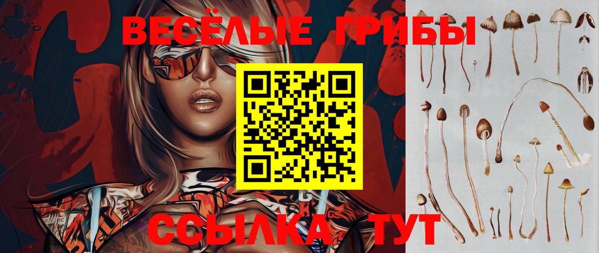 Галлюциногенные грибы Psilocybine cubensis Старый Оскол